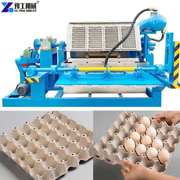 egg tray maker machine in YG