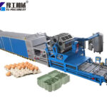 egg carton making machine from YG