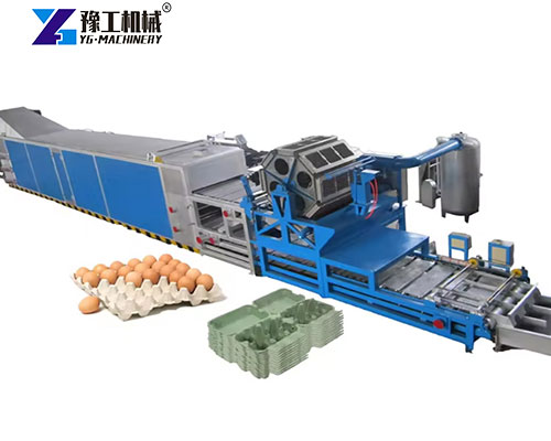 egg carton making machine from YG